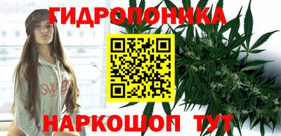 дмт Ливны