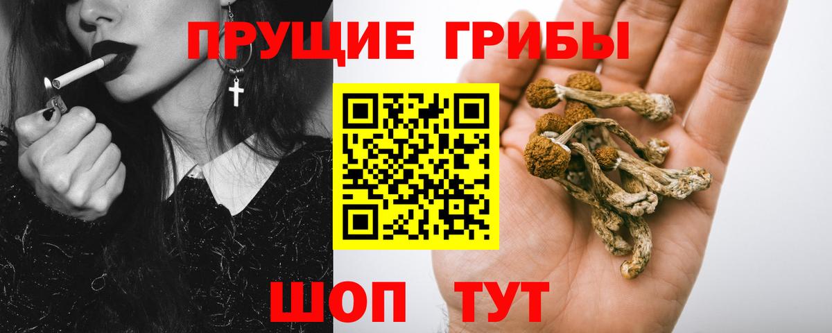 Псилоцибиновые грибы ЛСД  Вход с VPN  Гусев  Галлюциногенные грибы MAGIC MUSHROOMS 